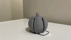 Transforming Pumpkin